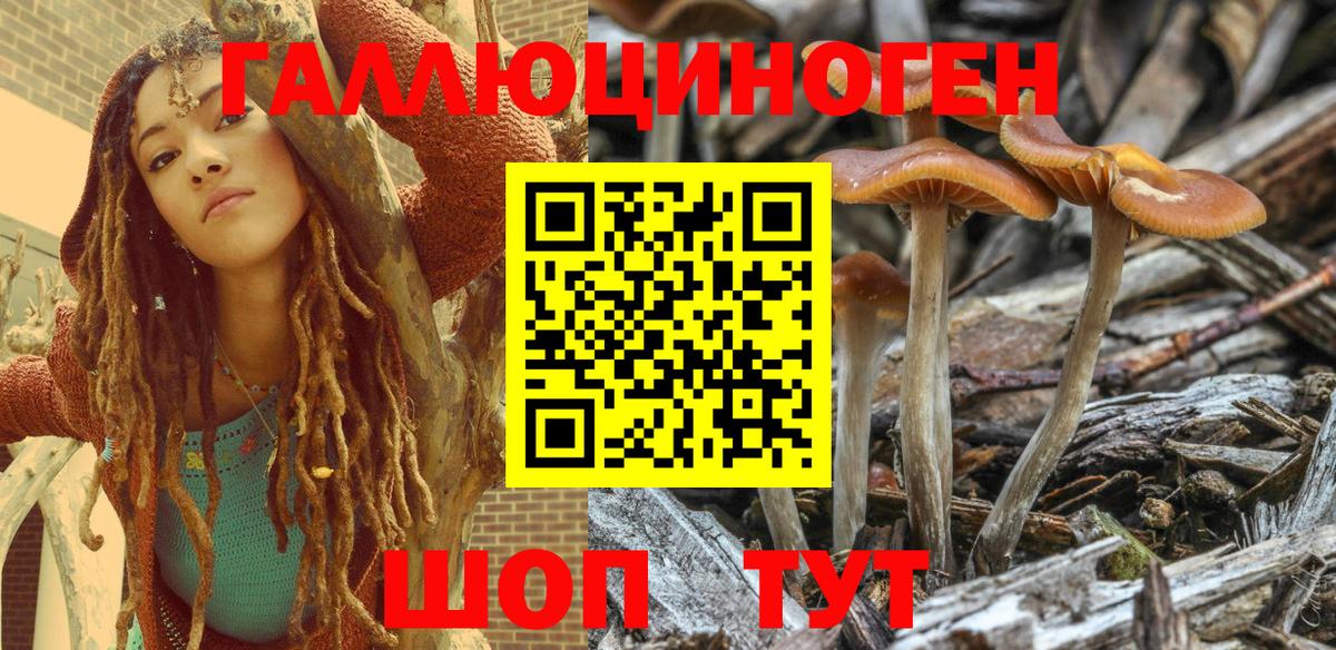 Галлюциногенные грибы Psilocybe  Псилоцибиновые грибы ЛСД  Вход с VPN  Михайловск 
